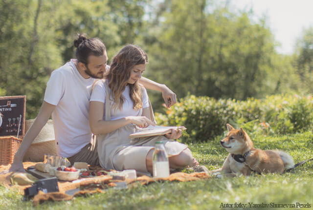 11 vecí, na ktoré myslieť, aby bol piknik úžasný